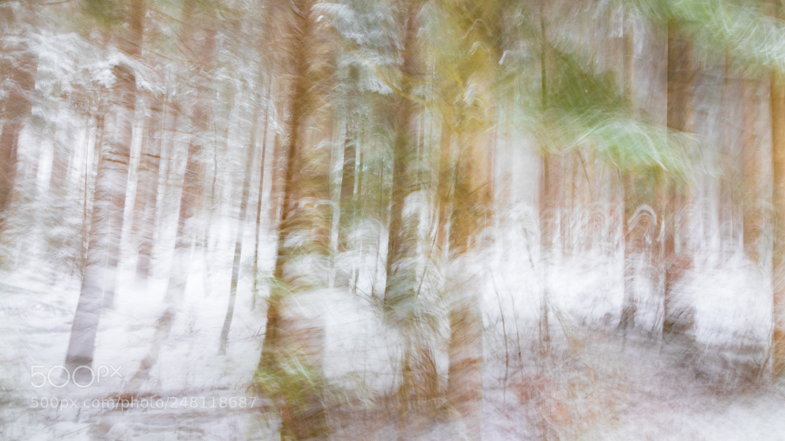 Canon EOS 80D sample photo. Abstraction  photography