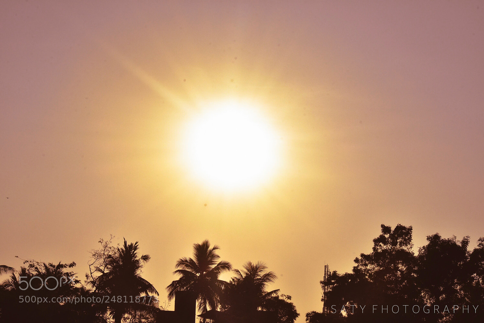 Nikon D7200 sample photo. Sun rise photography