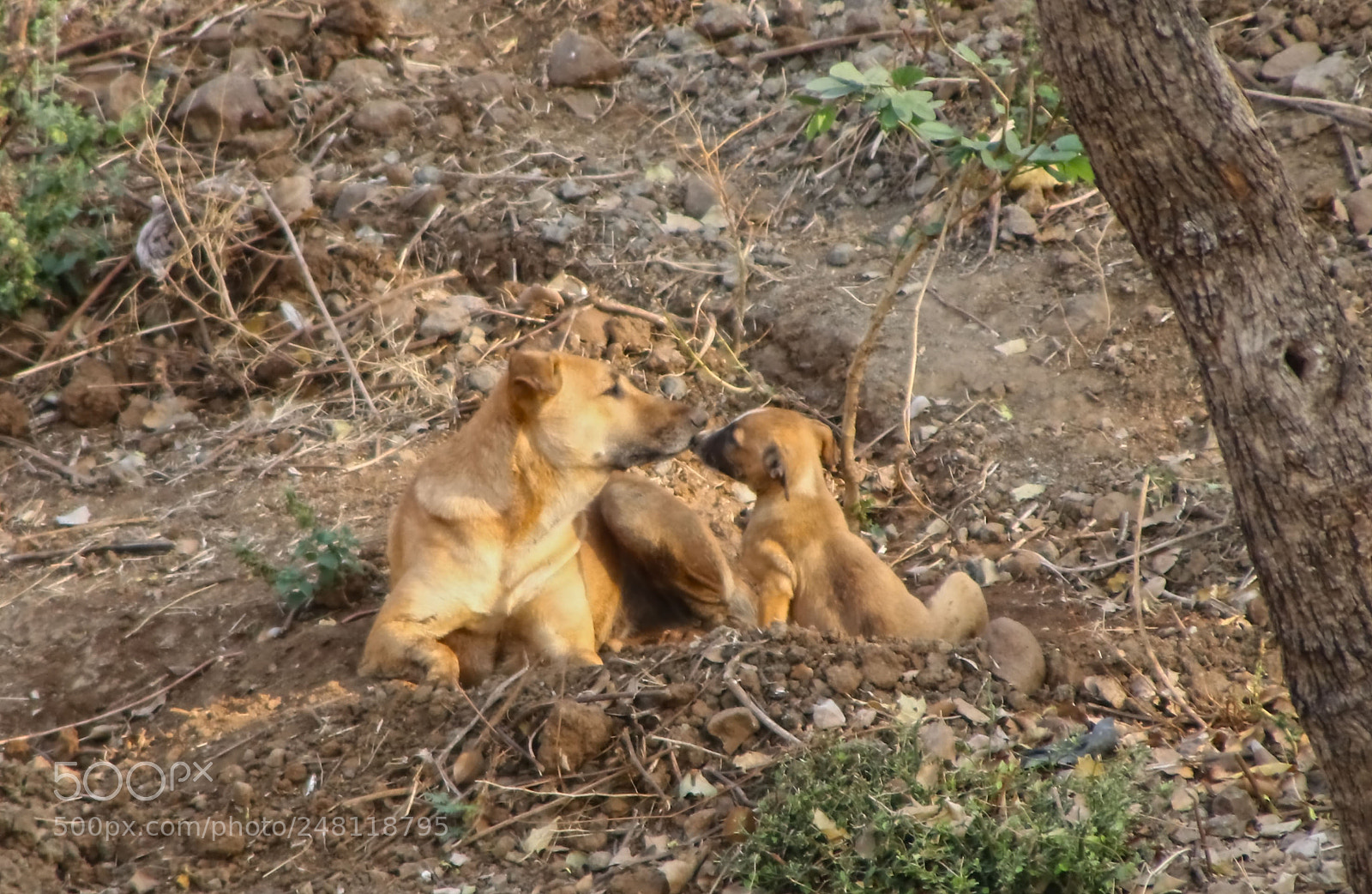 Canon EOS 80D sample photo. Mother and child photography