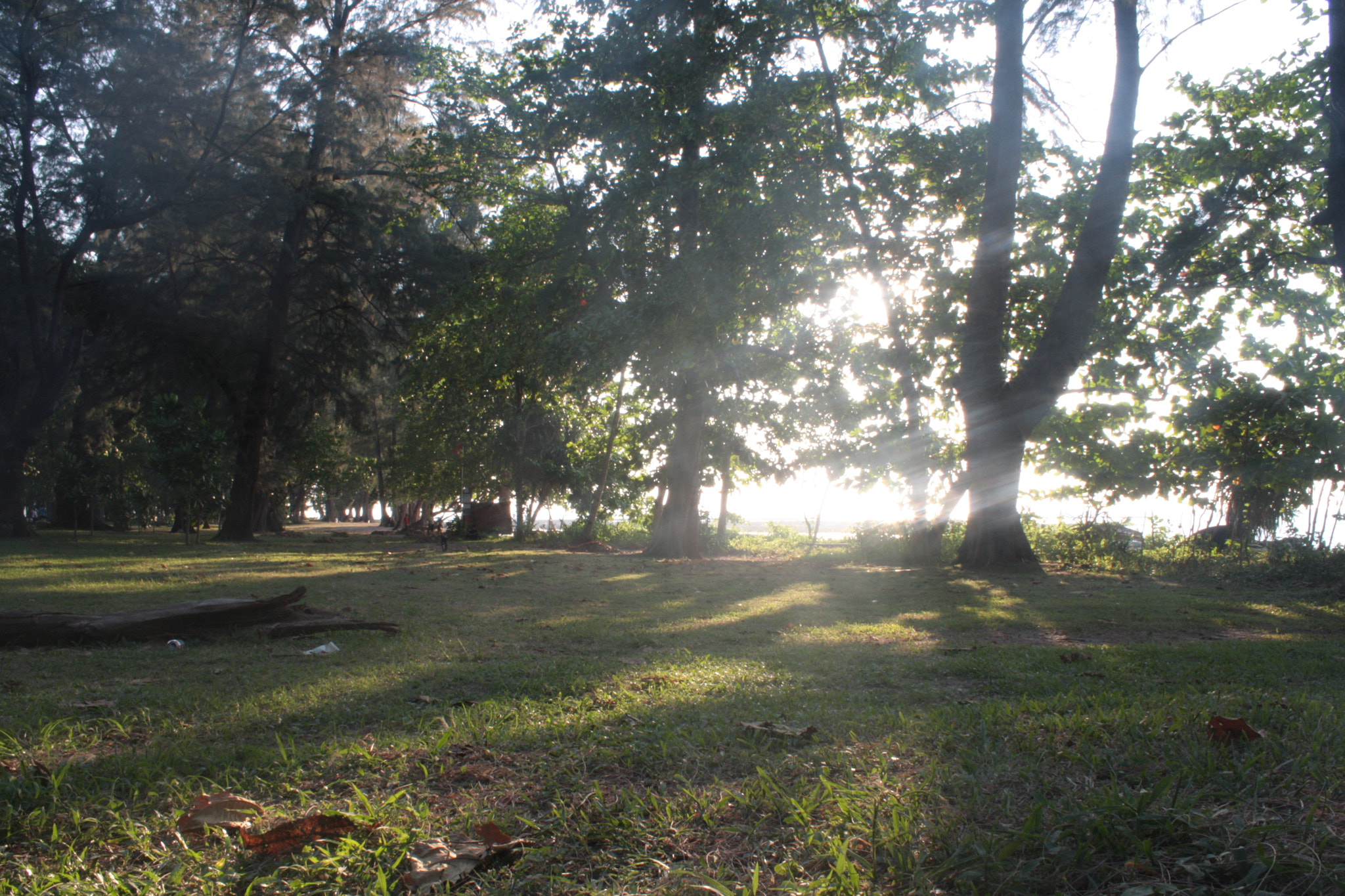 Canon EOS 40D sample photo. Haad naiyang park, phuket photography