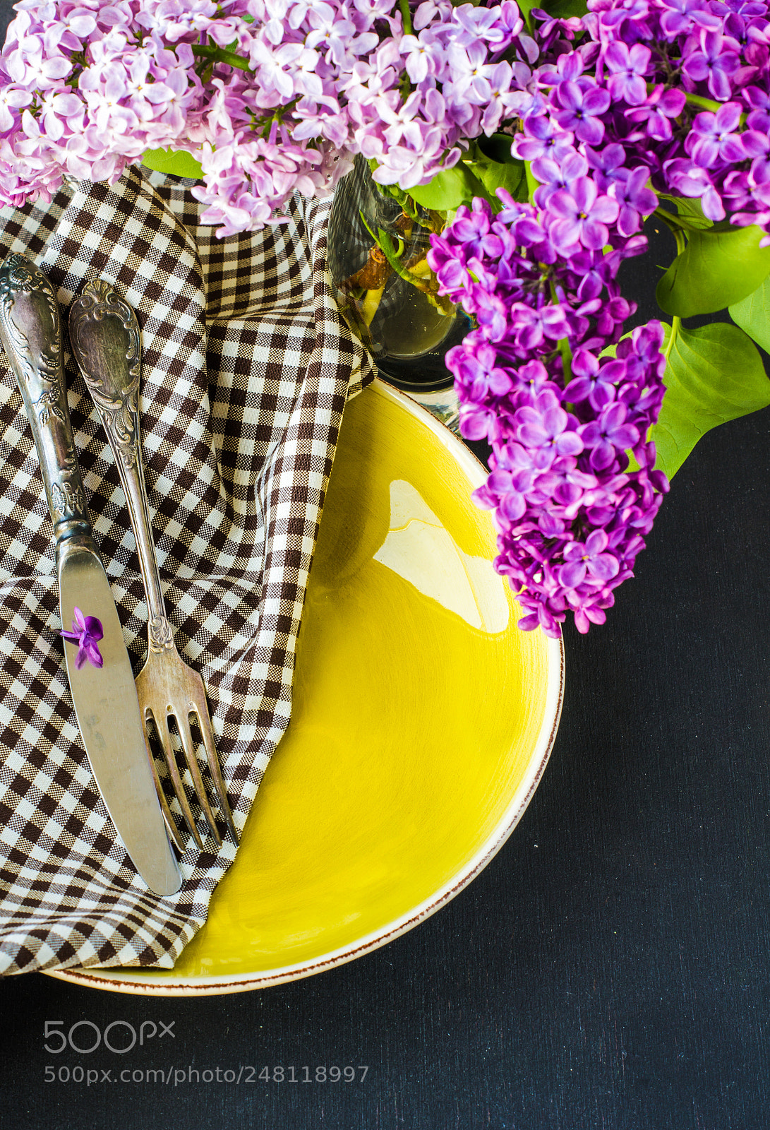 Sony SLT-A55 (SLT-A55V) sample photo. Spring concept with lilac photography