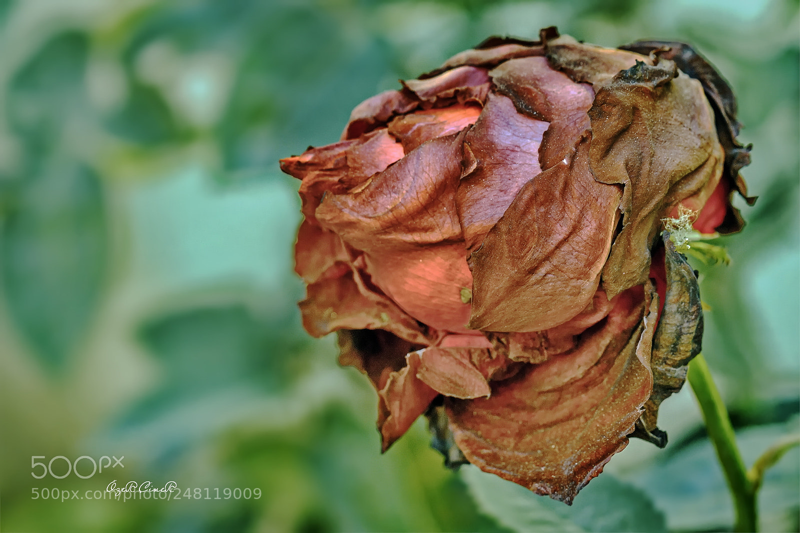 Canon EOS 7D sample photo. Time takes away... so photography