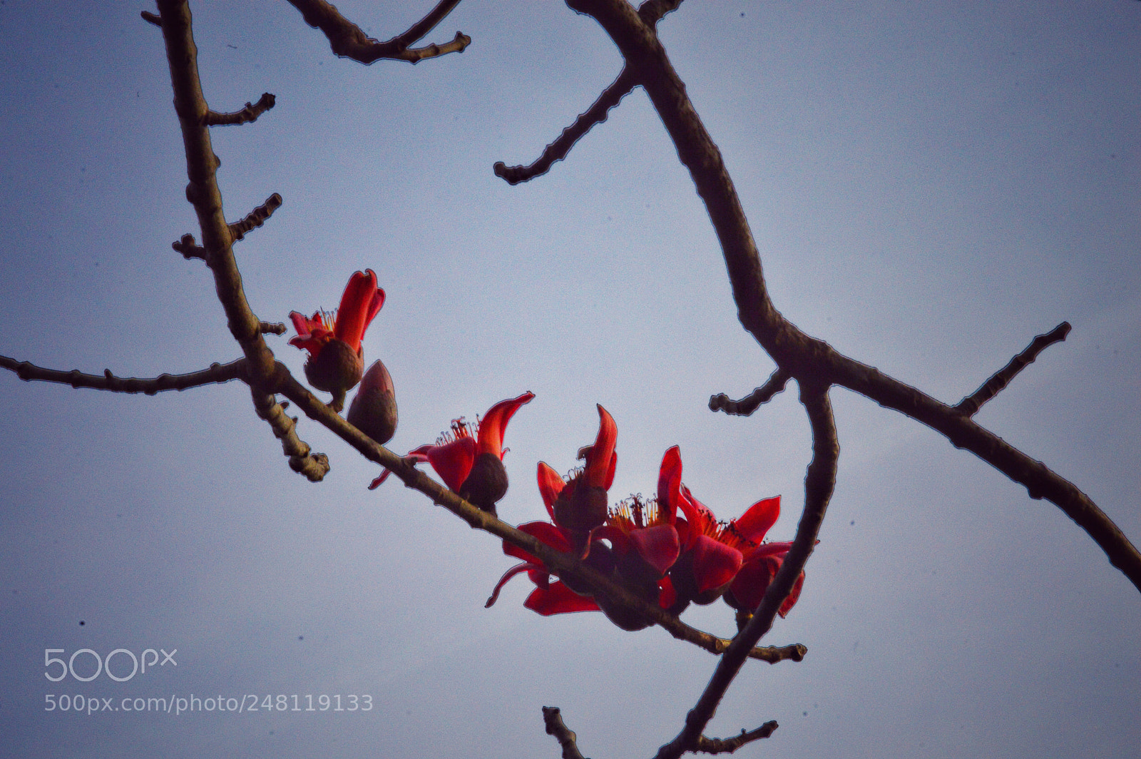 Nikon D3200 sample photo. Untitled photography