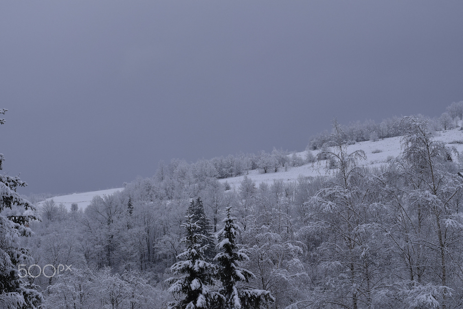 Nikon AF-S Nikkor 50mm F1.8G sample photo. When winter doesn't want to end photography