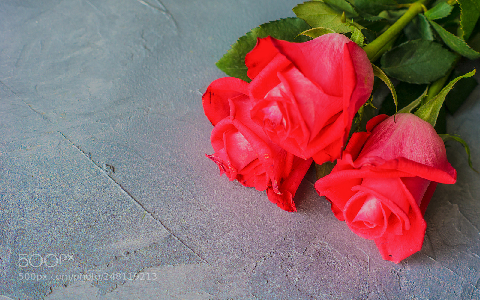 Sony SLT-A55 (SLT-A55V) sample photo. Festive concept with red photography