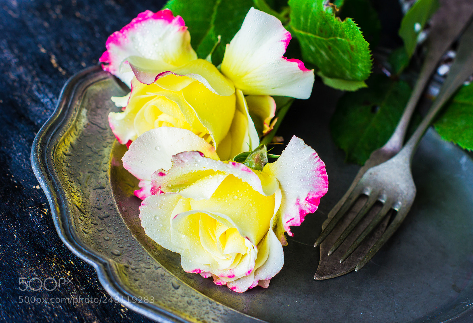 Sony SLT-A55 (SLT-A55V) sample photo. Summer table setting with photography