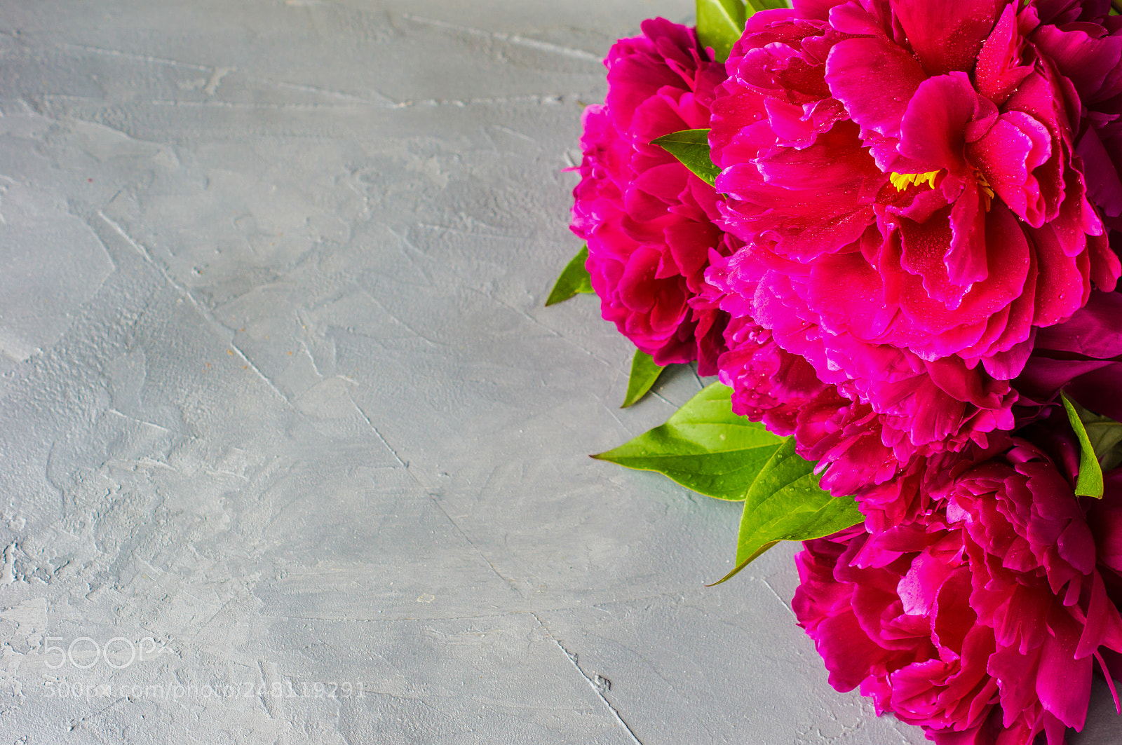Sony SLT-A55 (SLT-A55V) sample photo. Interior with peony flowers photography