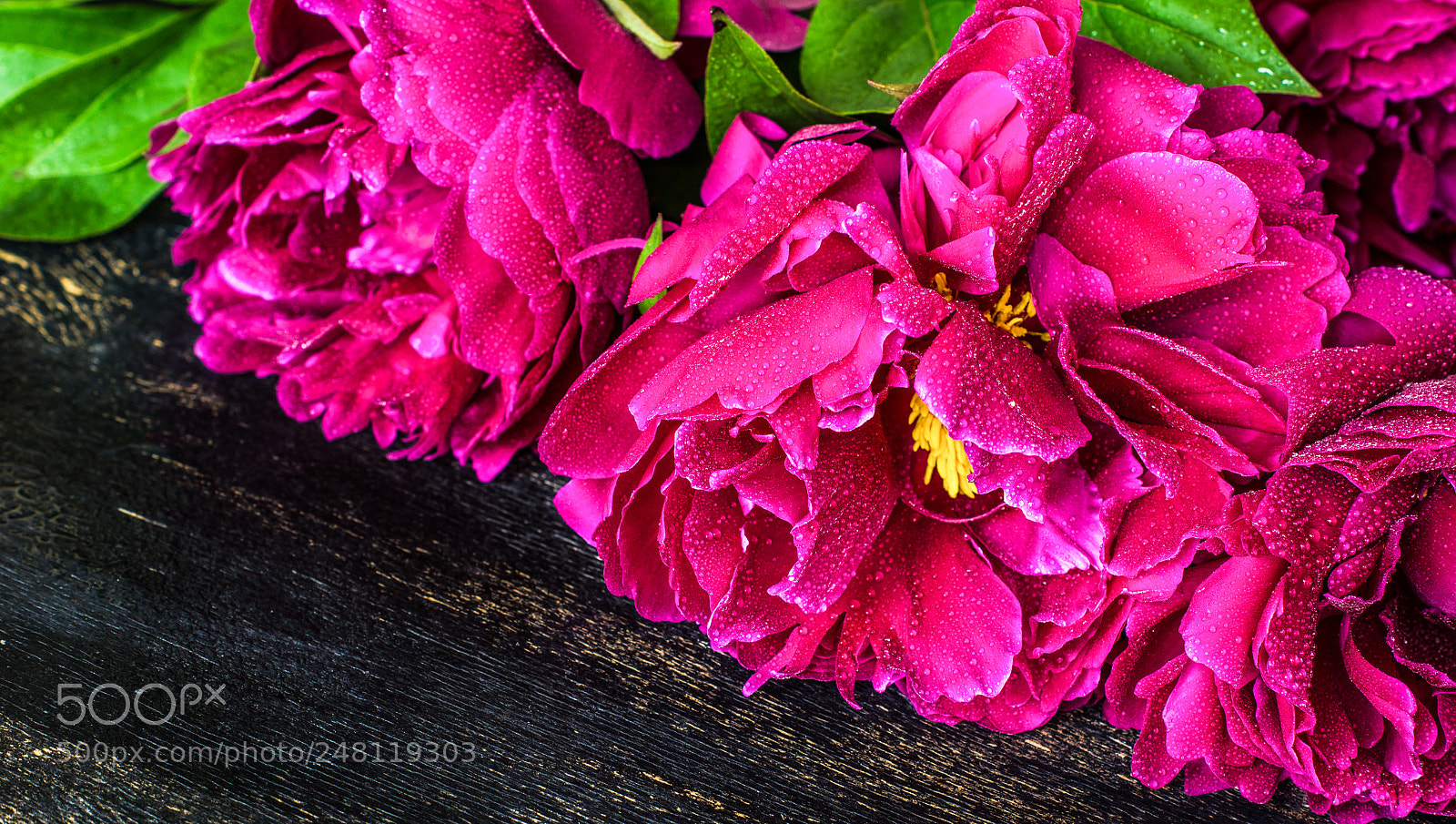 Sony SLT-A55 (SLT-A55V) sample photo. Interior with peony flowers photography