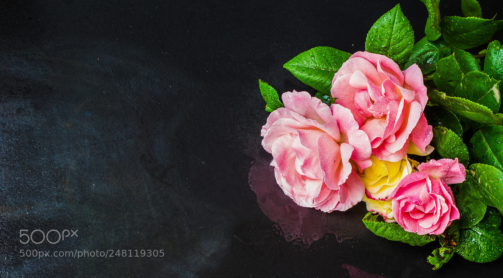 Sony SLT-A55 (SLT-A55V) sample photo. Summer floral frame with photography