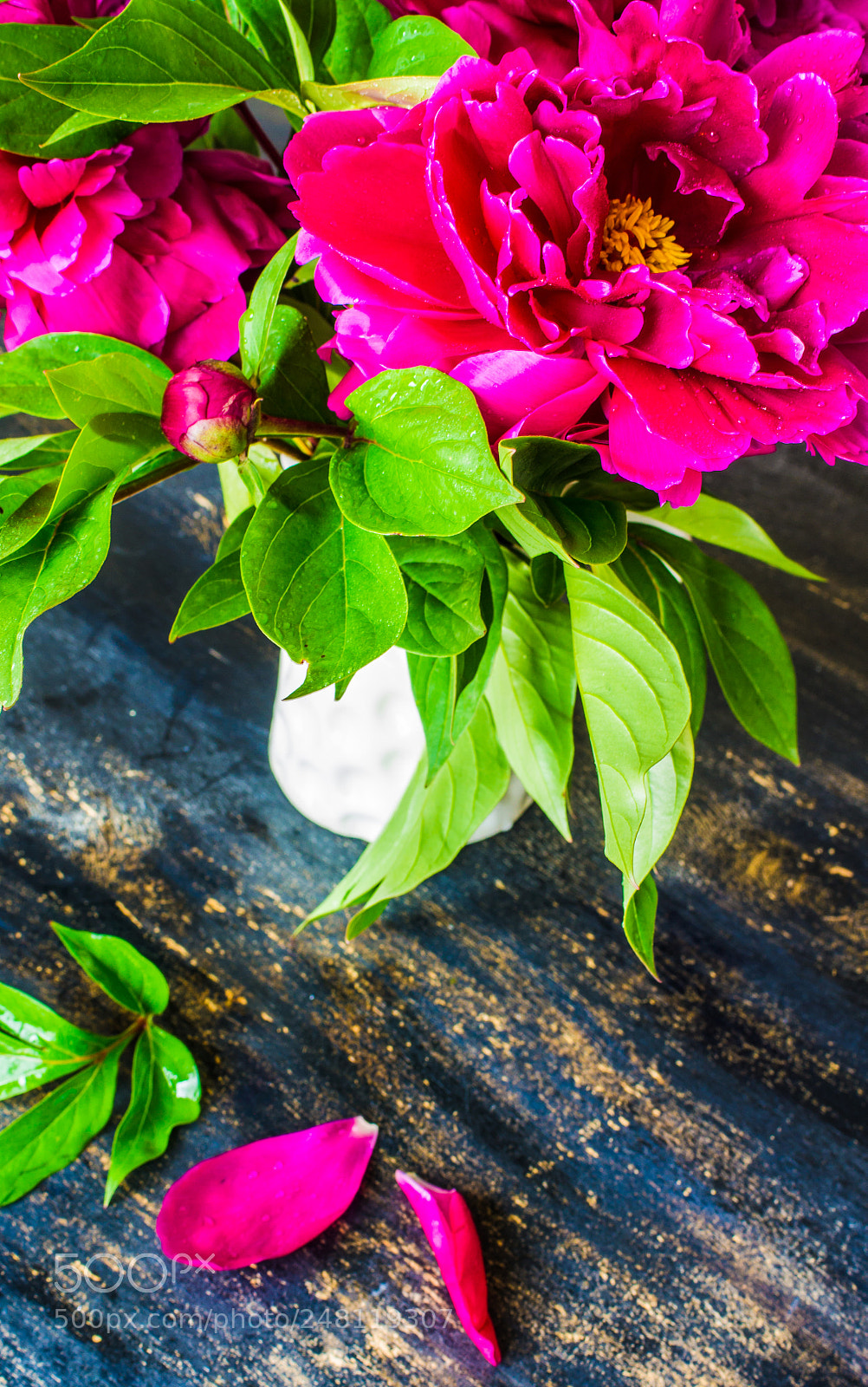 Sony SLT-A55 (SLT-A55V) sample photo. Interior with peony flowers photography