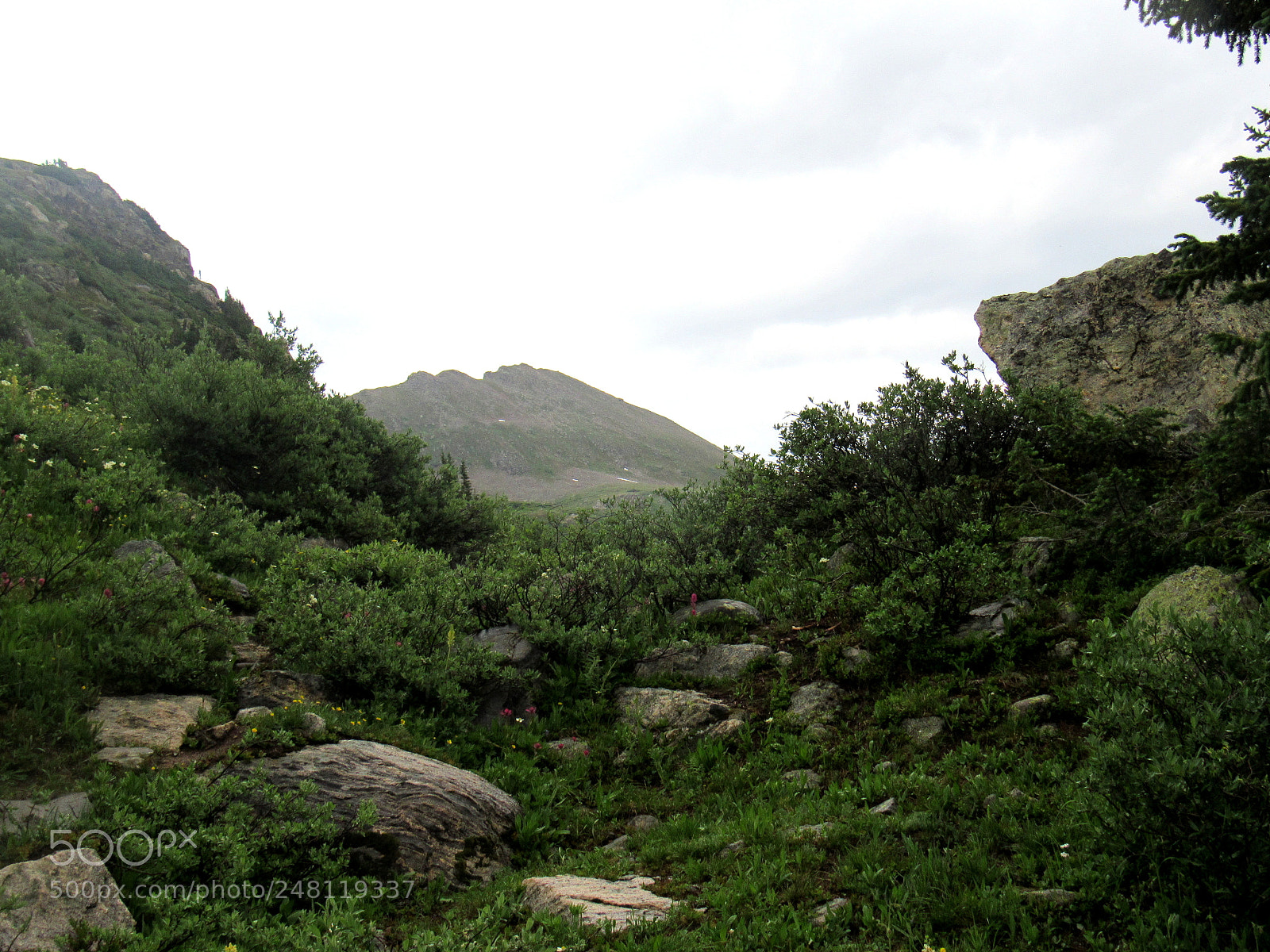 Canon PowerShot SX520 HS sample photo. Foggy mountain rise photography