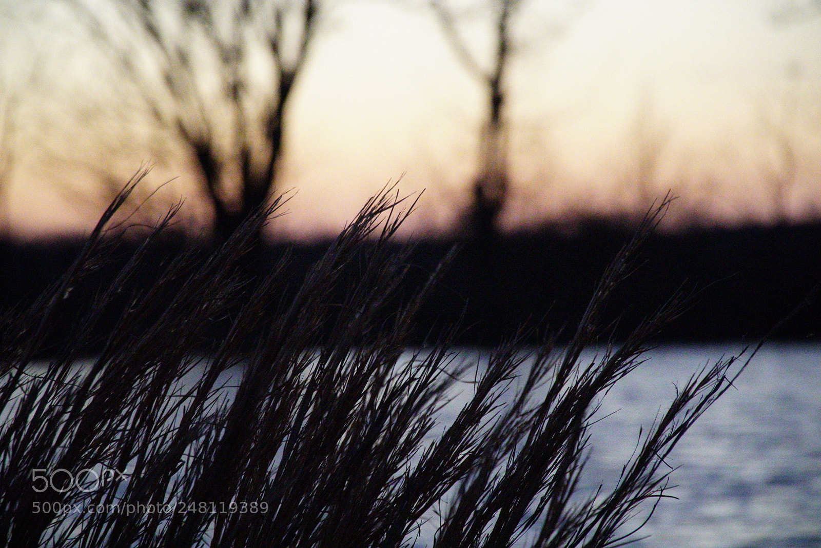 Sony a6500 sample photo. Grace photography