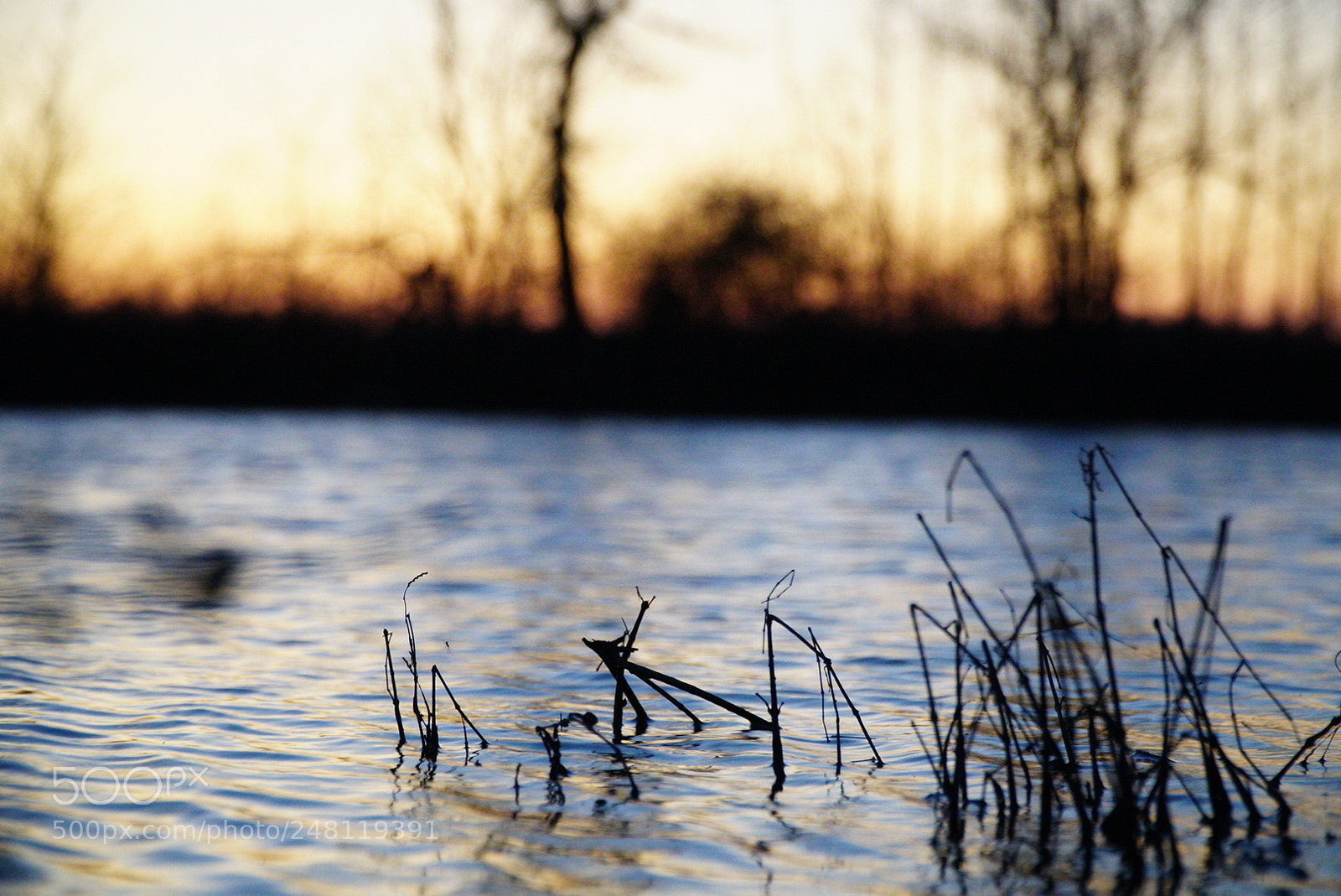 Sony a6500 sample photo. Drowning photography
