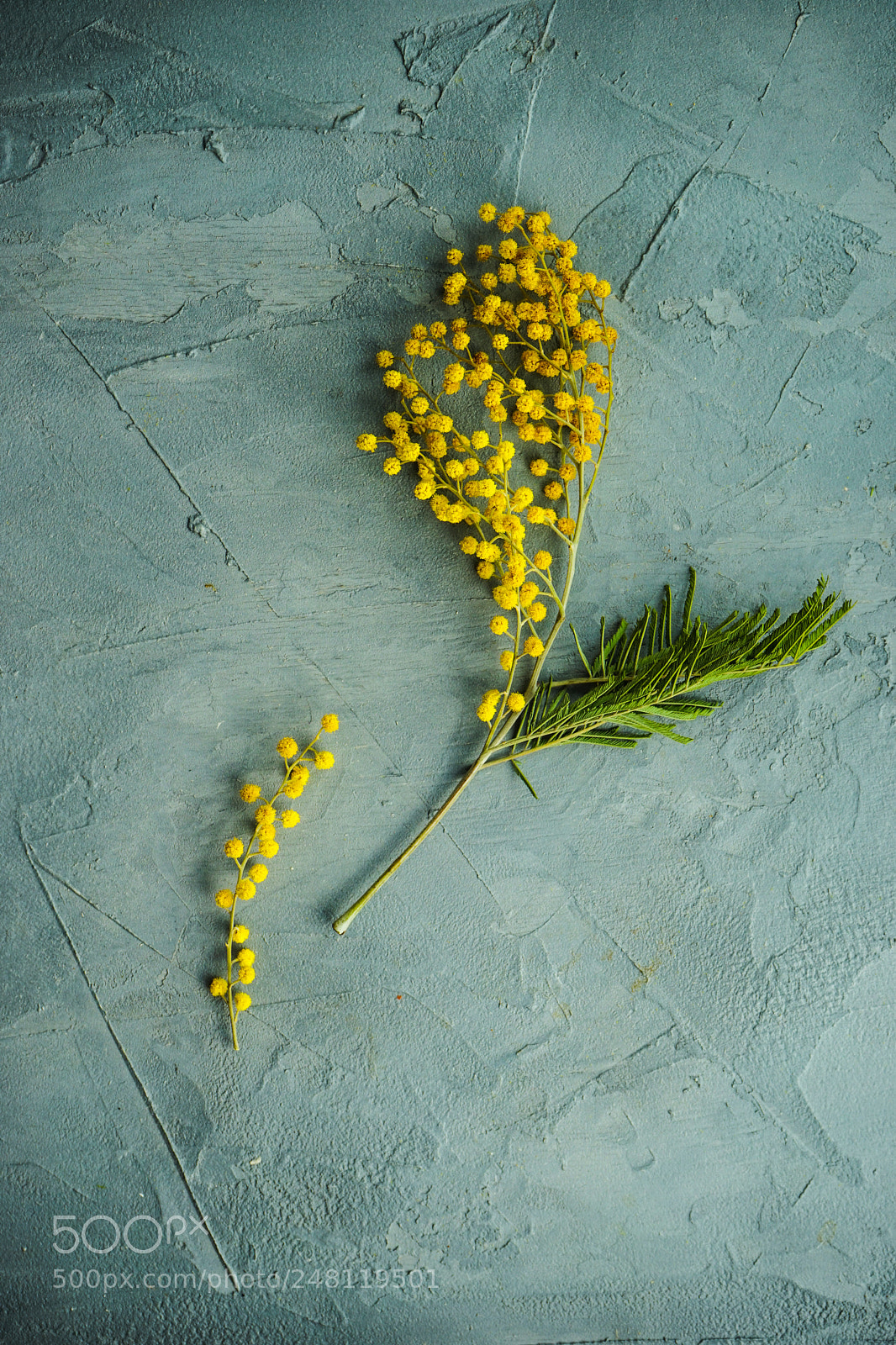 Sony a7 sample photo. Spring interior concept photography