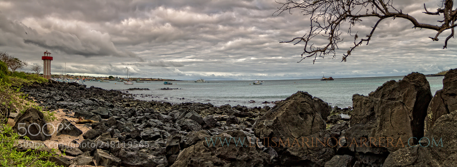 Canon EOS 7D sample photo. San crist bal.gal pagos photography