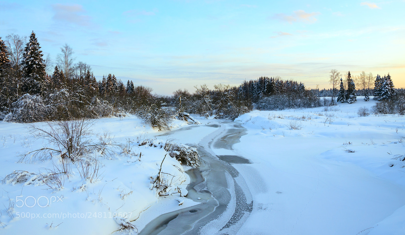 Nikon D5100 sample photo. Sleeping nature photography