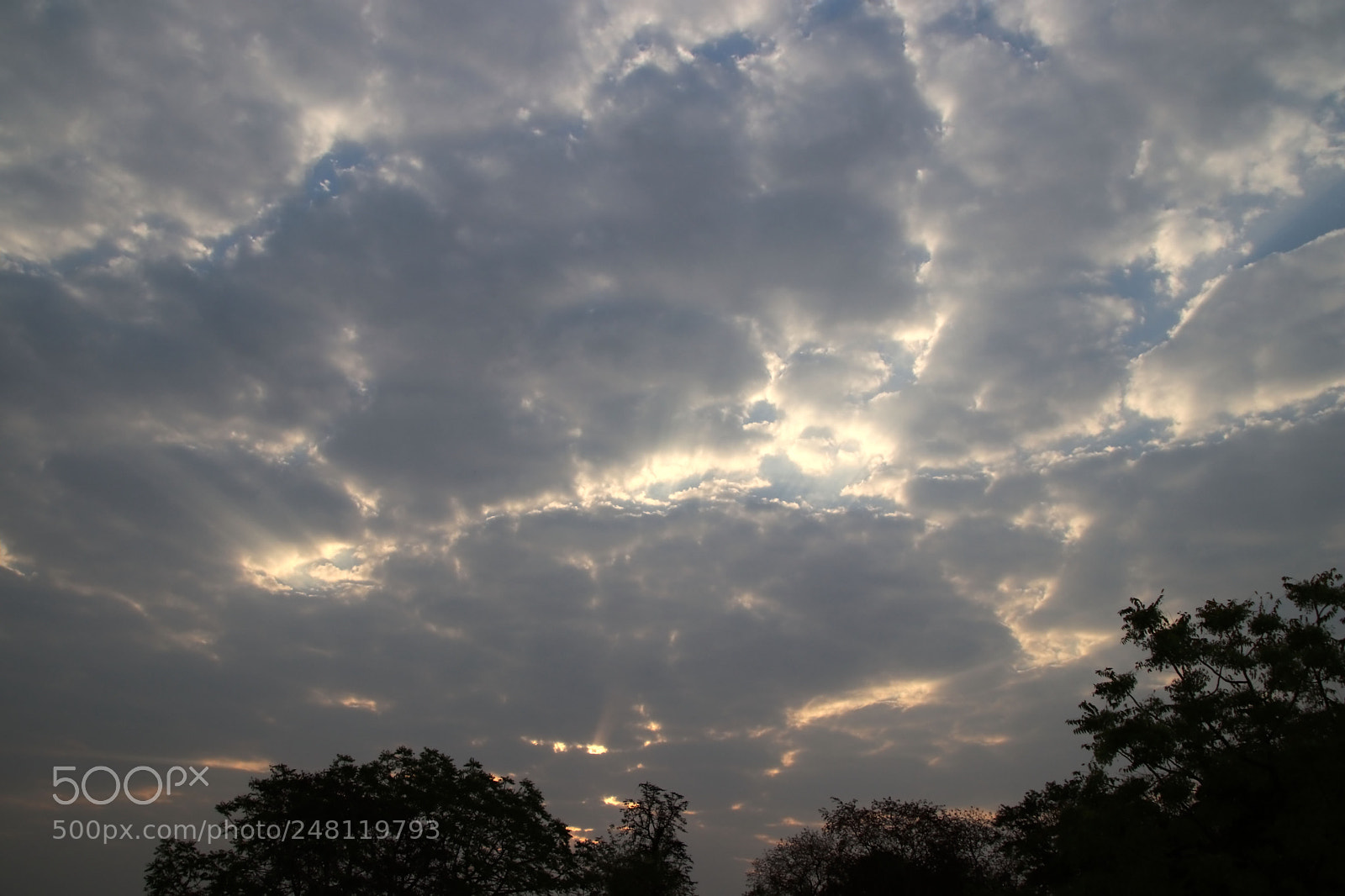 Canon EOS 80D sample photo. Beauty of nature photography
