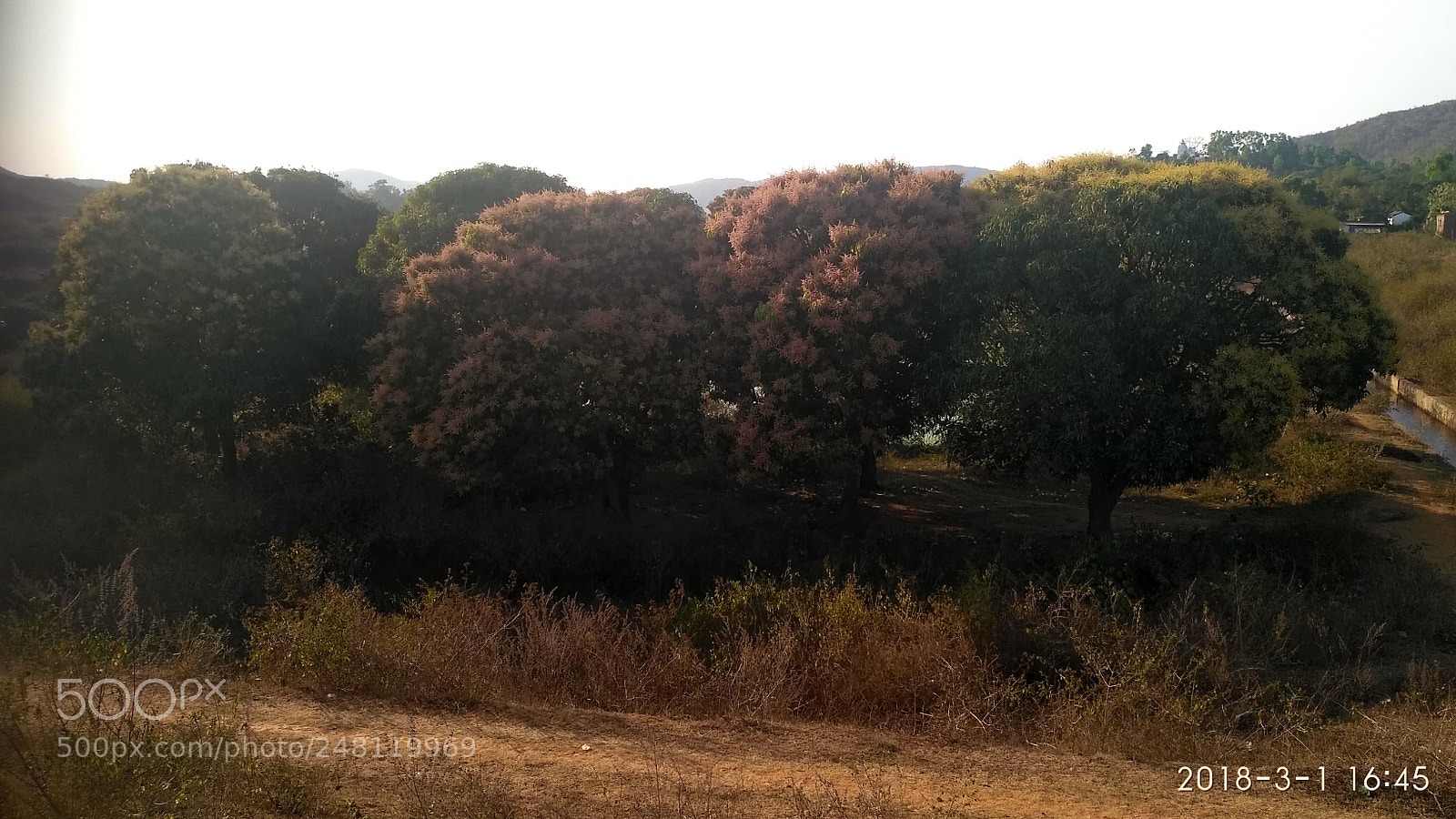 Xiaomi Redmi 3S sample photo. Untitled photography