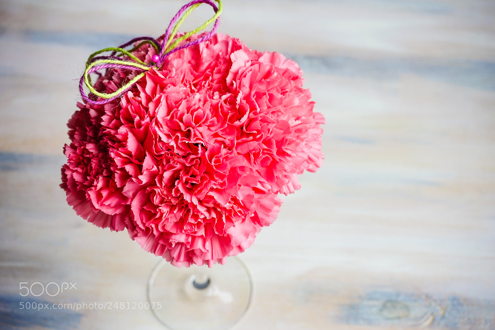 Sony a7 sample photo. Spring interior concept photography