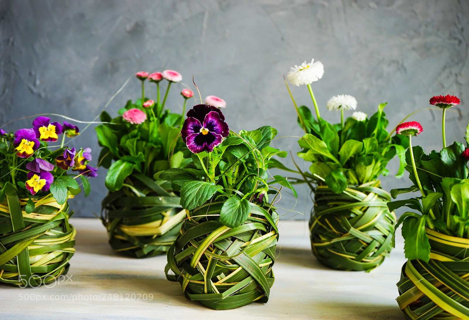 Sony a7 sample photo. First spring flowers in photography