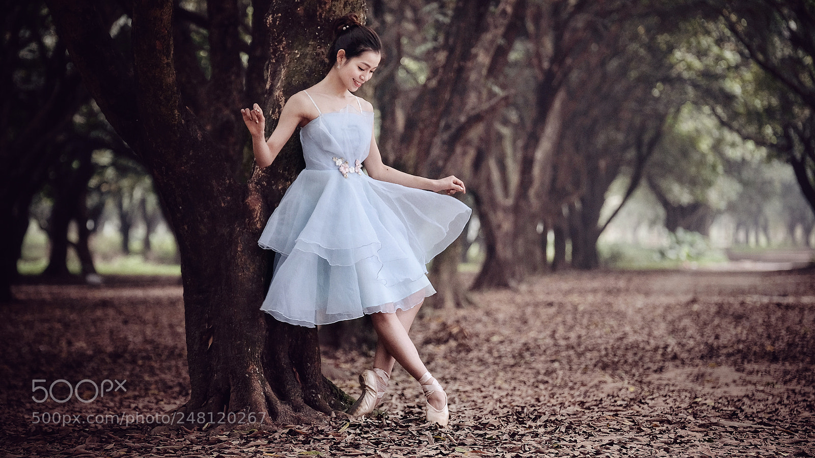 Fujifilm X-T20 sample photo. Untitled photography