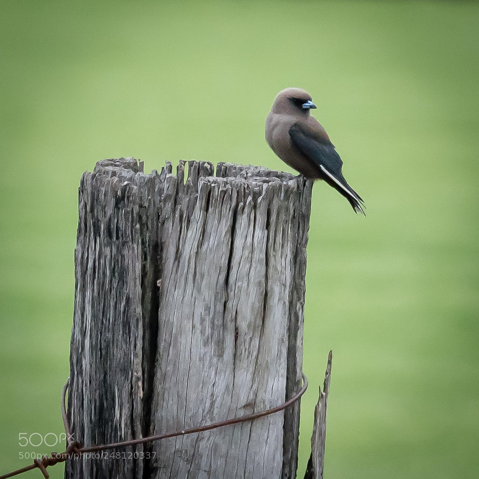 Olympus OM-D E-M5 II sample photo. Simplicity photography