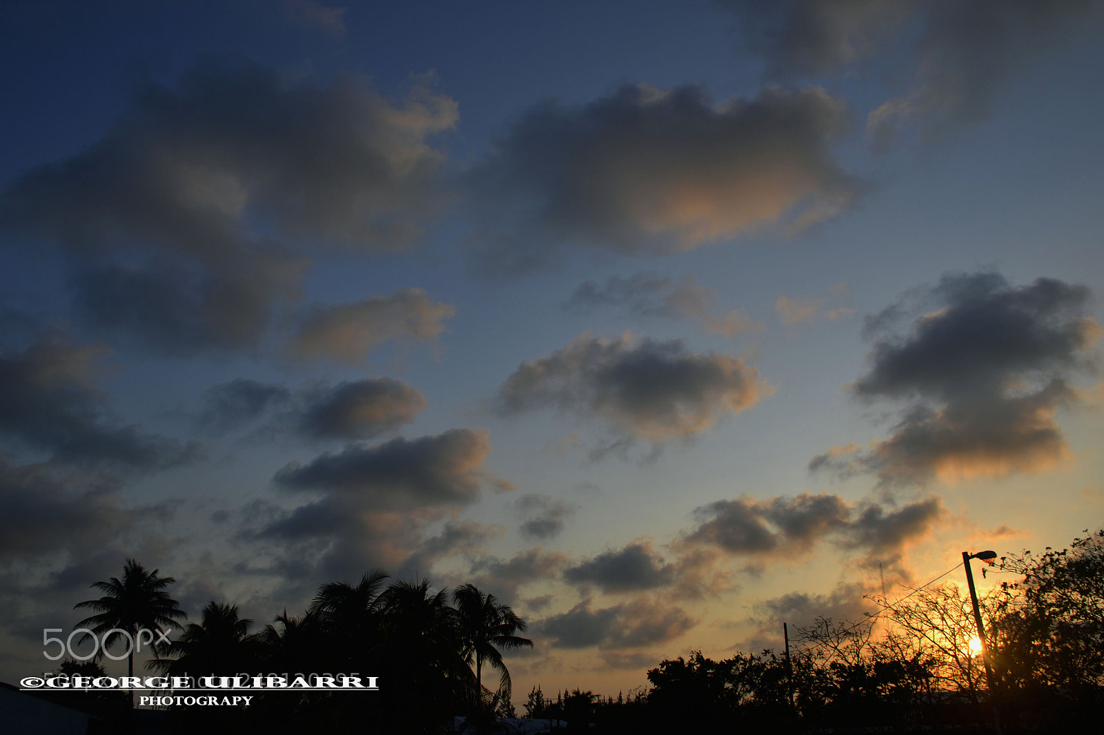 Nikon D3100 sample photo. 02.jpg photography