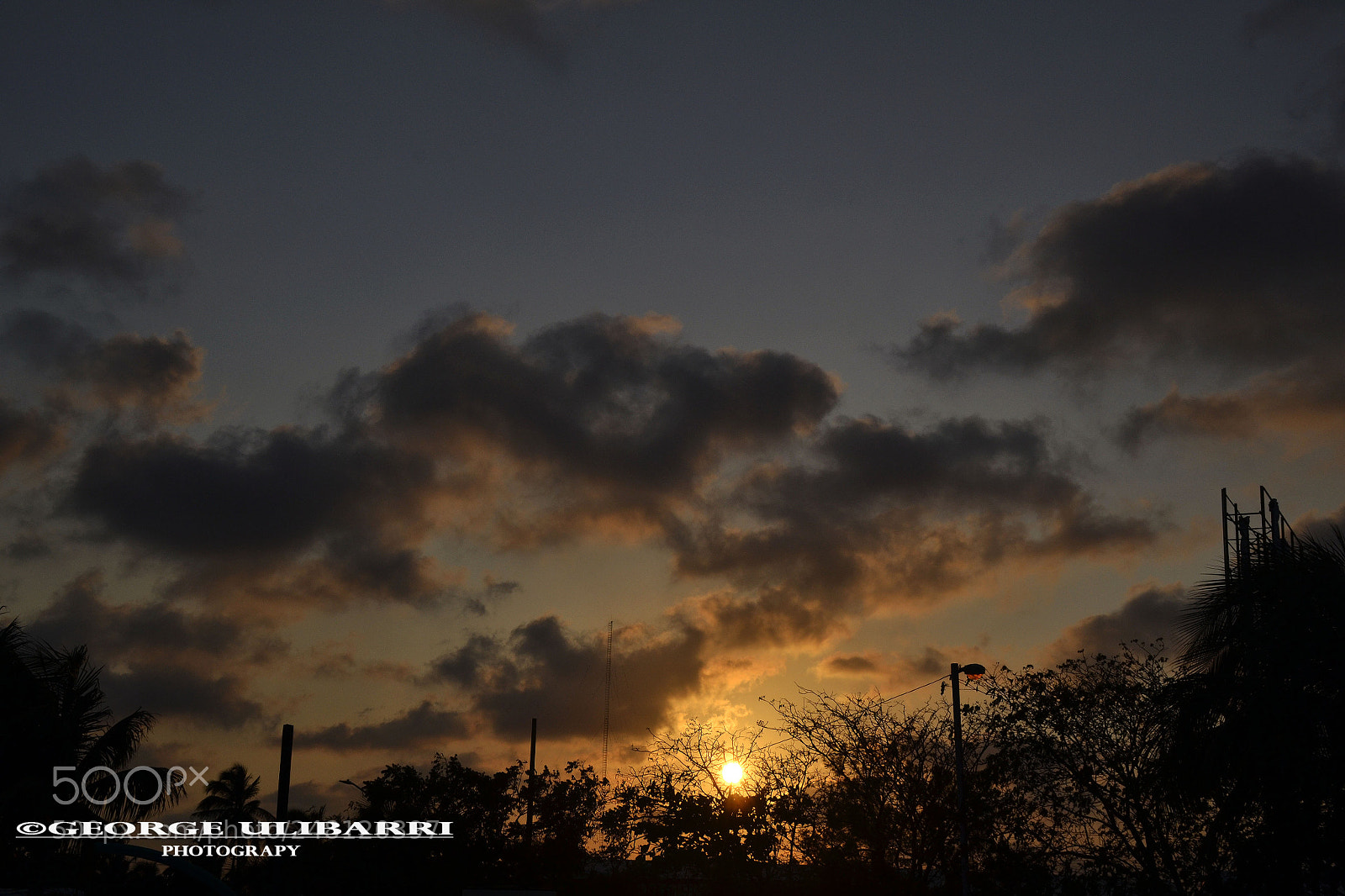 Nikon D3100 sample photo. 01.jpg photography