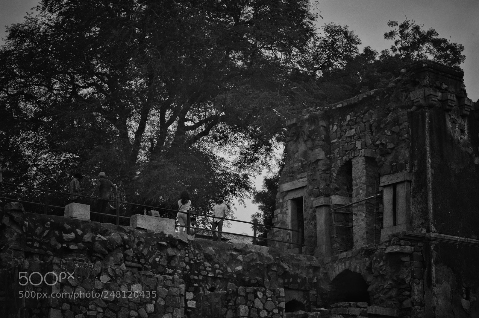 Nikon D3200 sample photo. Untitled photography