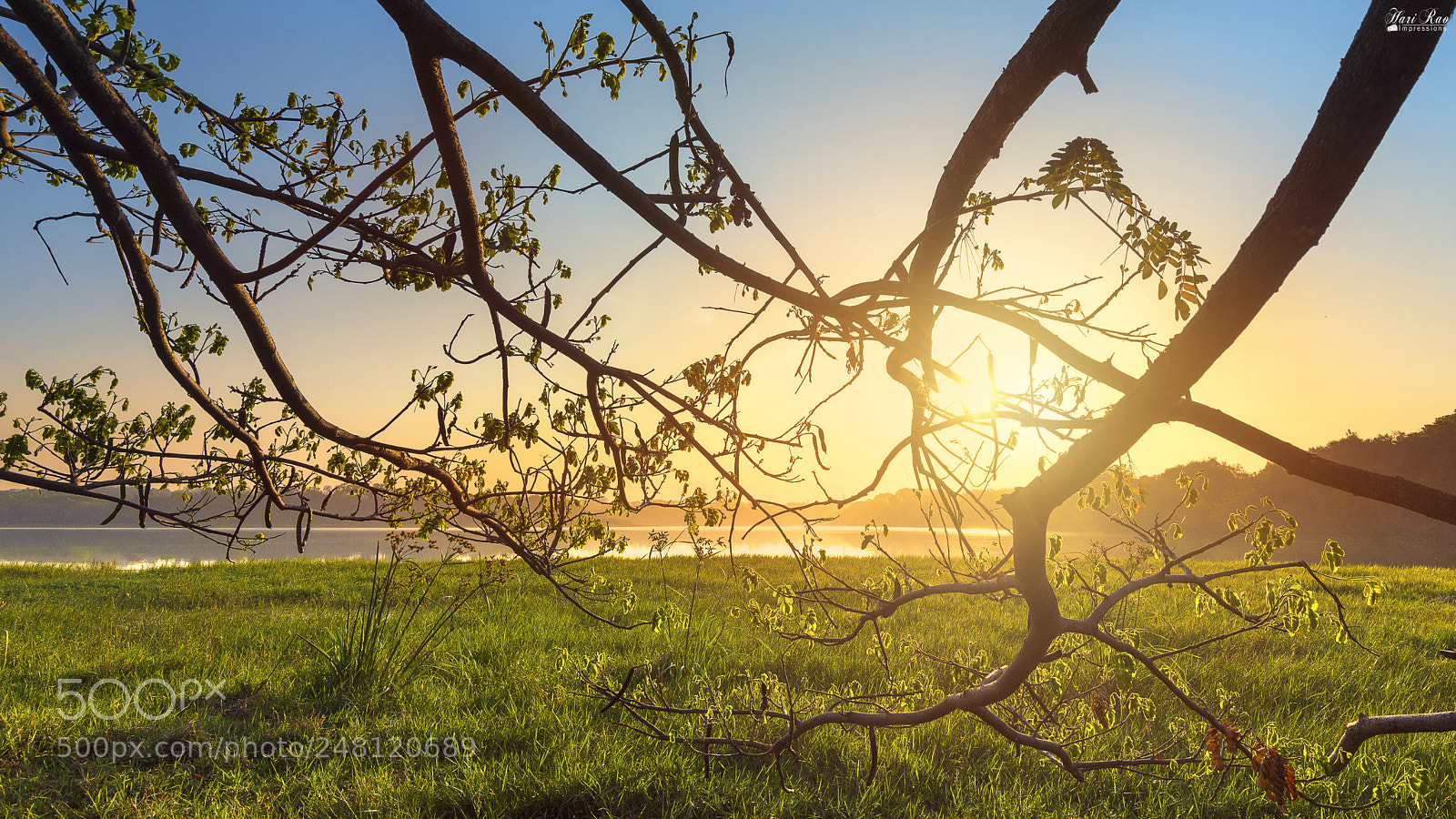 Nikon D810 sample photo. The network photography