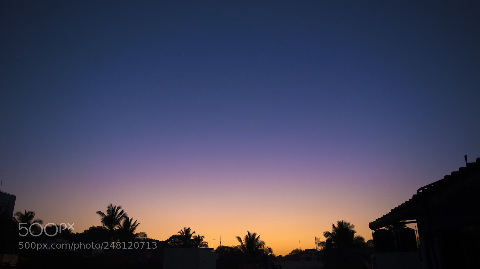 Nikon D7100 sample photo. February mornings! photography