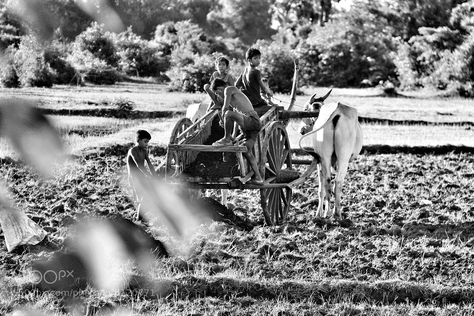 Canon EOS 650D (EOS Rebel T4i / EOS Kiss X6i) sample photo. Team work photography