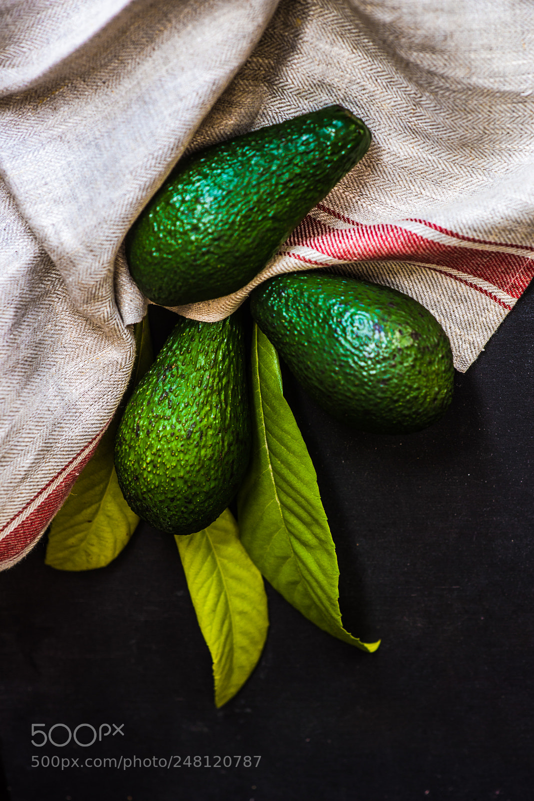 Nikon D610 sample photo. Avocado fruits on dark photography