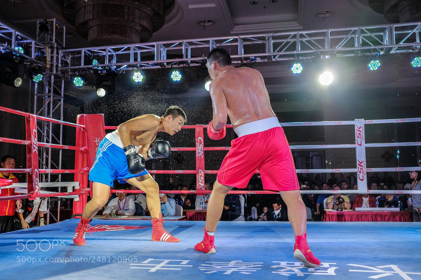 Fujifilm X-Pro2 sample photo. Close call photography