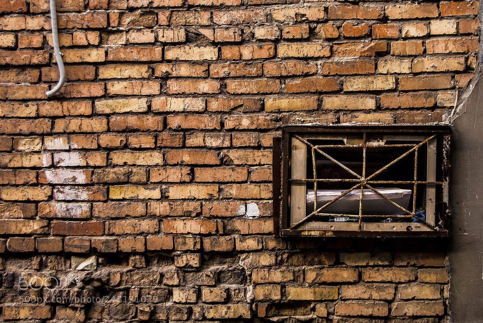Nikon D3000 sample photo. Secret hole photography