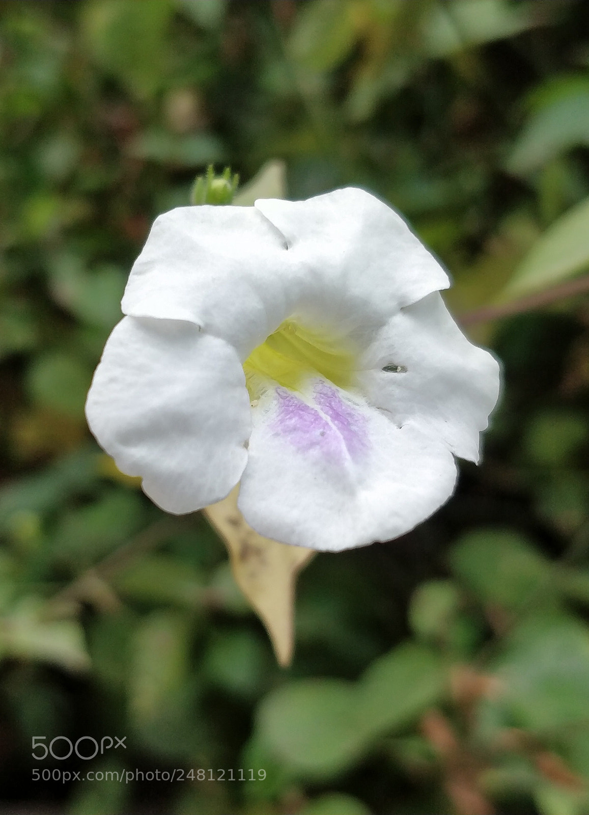 OnePlus 5 sample photo. Untitled photography