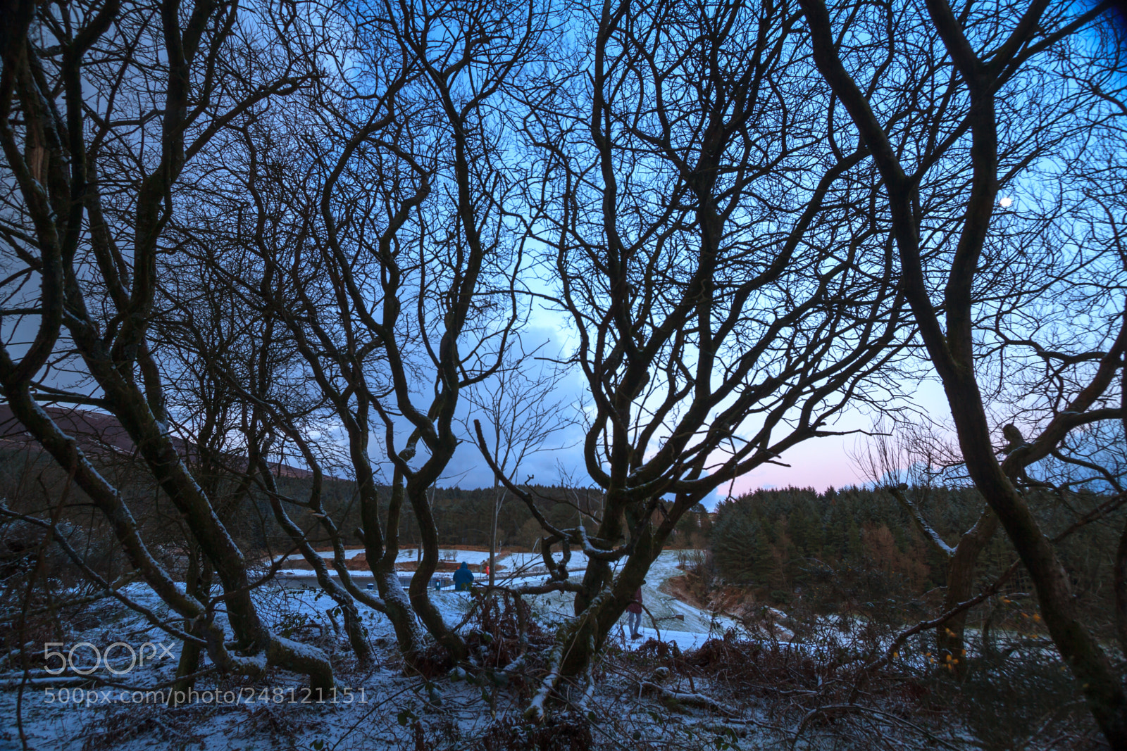 Canon EOS 7D sample photo. From behind the trees photography