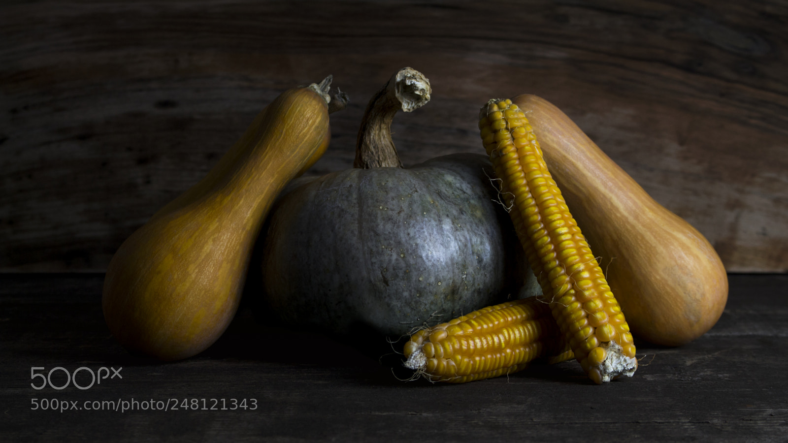 Canon EOS 700D (EOS Rebel T5i / EOS Kiss X7i) sample photo. Pumpkin, corncob and autumn photography