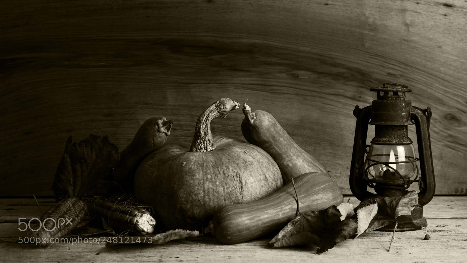 Canon EOS 700D (EOS Rebel T5i / EOS Kiss X7i) sample photo. Pumpkins, corncobs and autumn photography