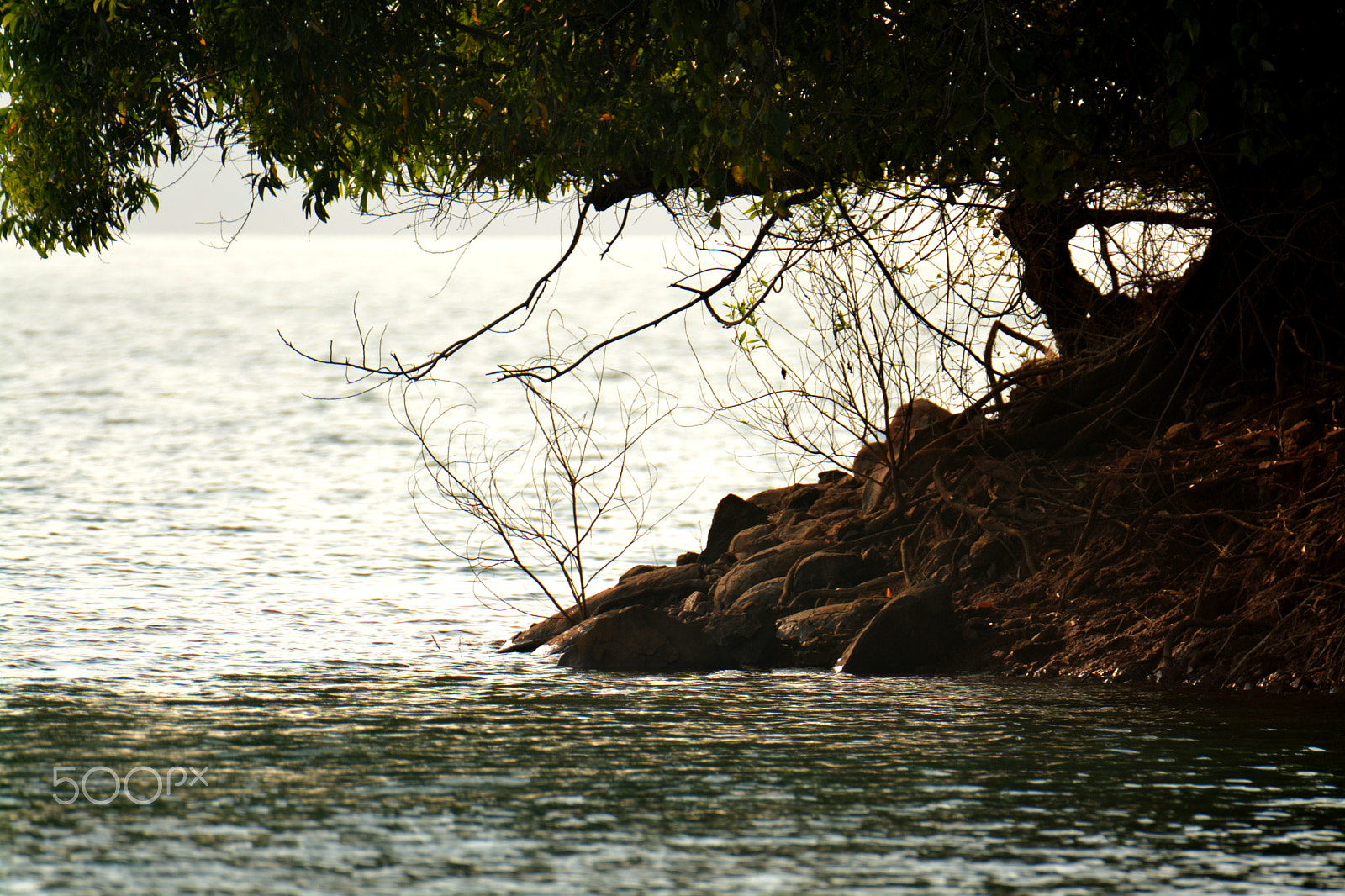 Nikon D5200 sample photo. River photography