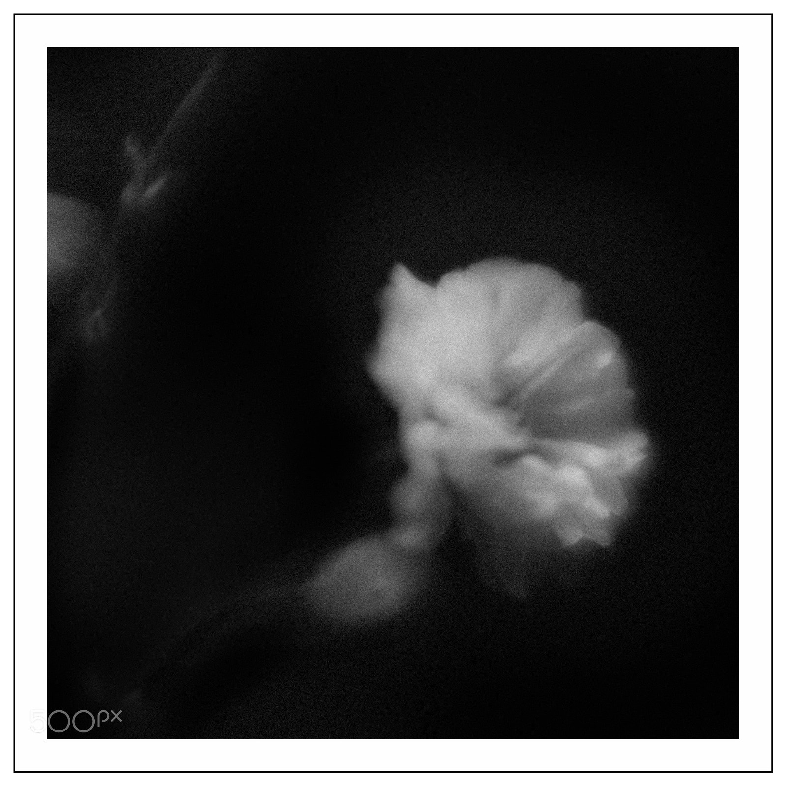 Fujifilm X100F sample photo. Untitled photography