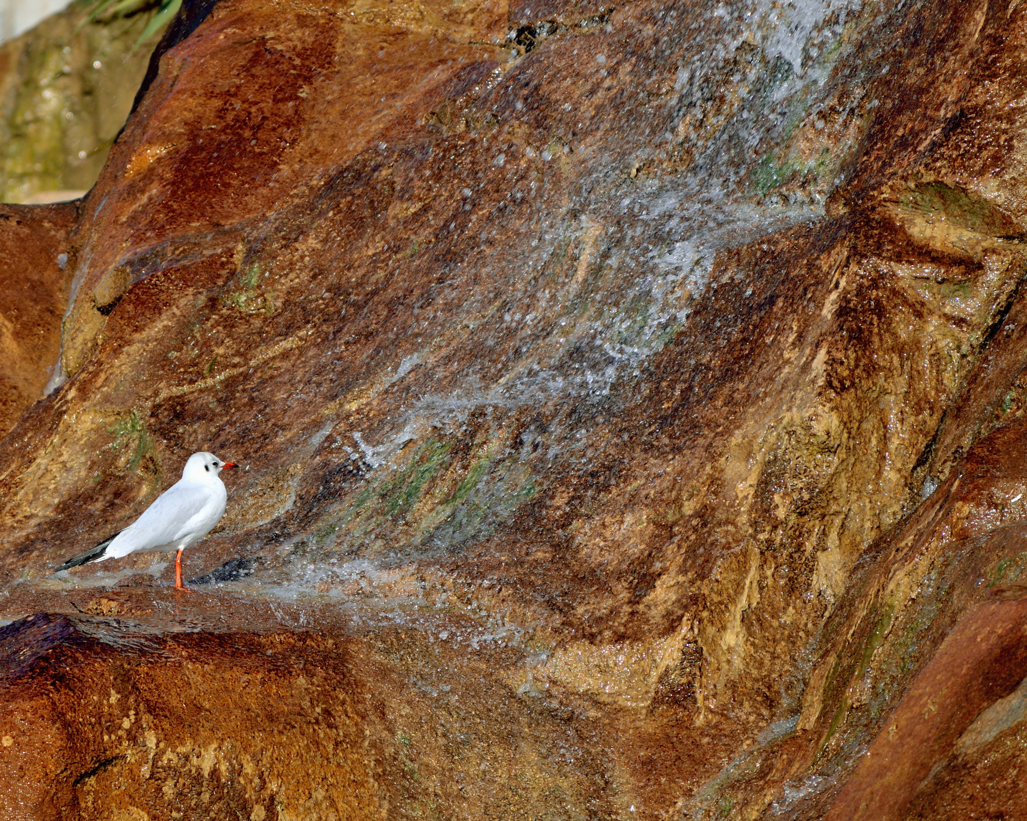 Nikon D5300 sample photo