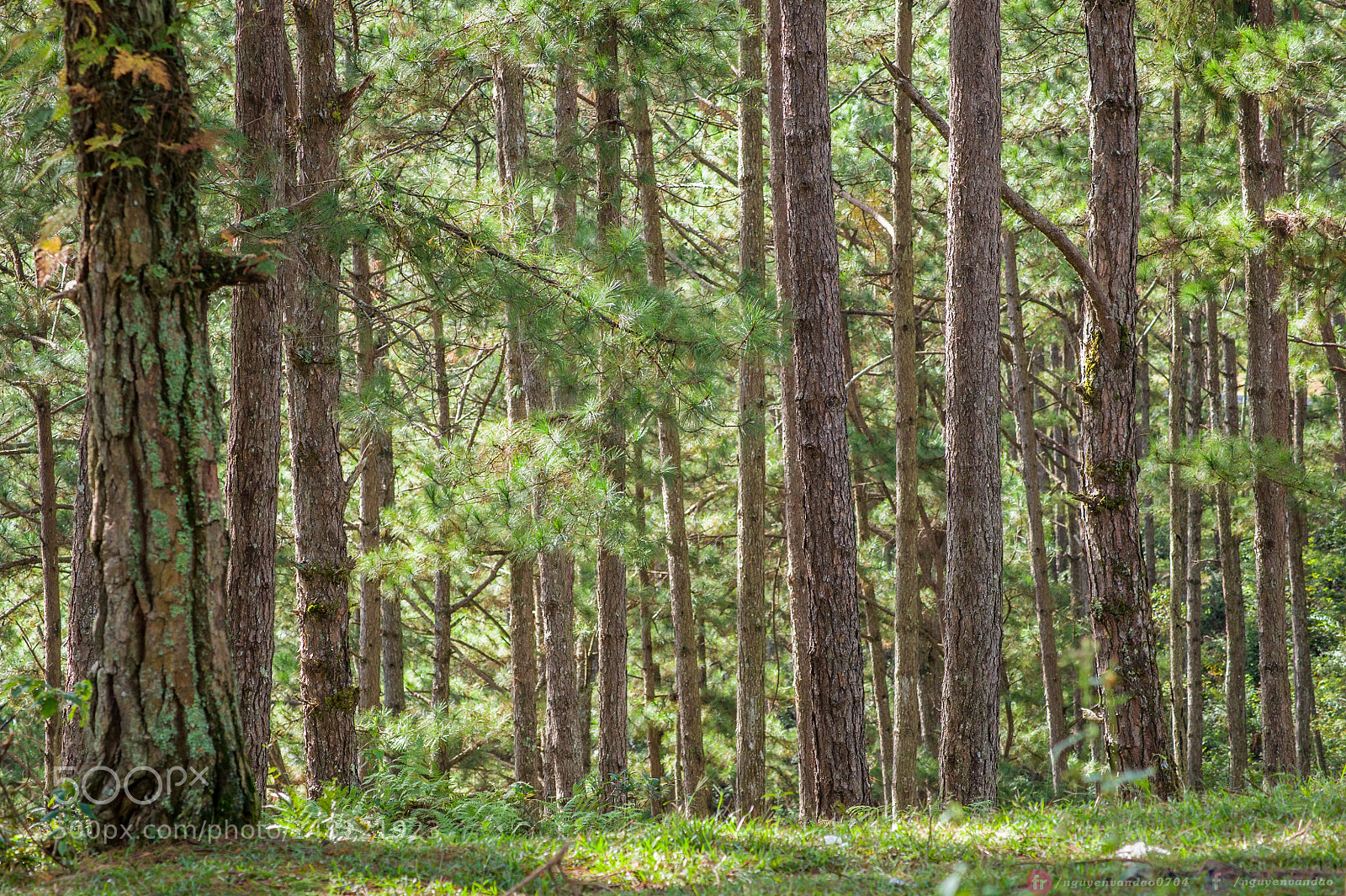 Nikon D700 sample photo. Peaceful. photography