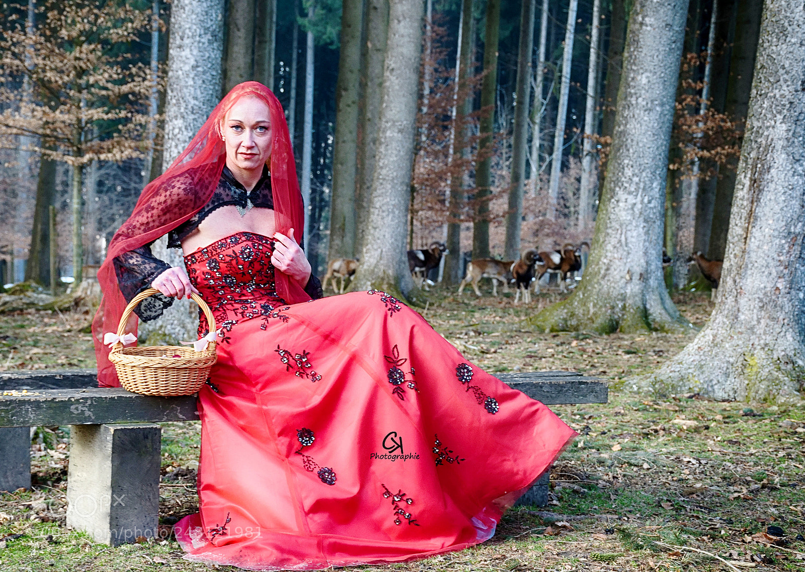 Nikon D5300 sample photo. Der besuch photography