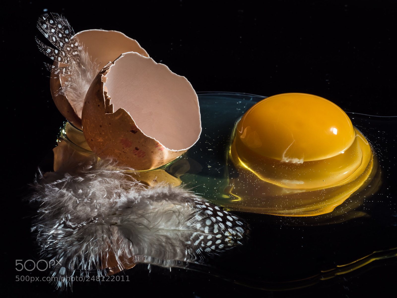 Olympus OM-D E-M5 II sample photo. Fresh egg photography