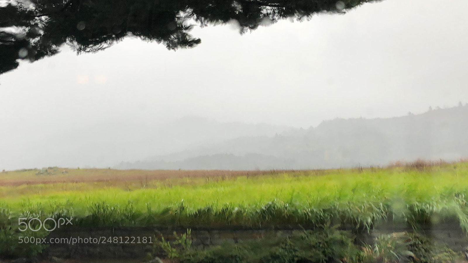 Apple iPhone 8 Plus sample photo. Foggy foothills of san photography