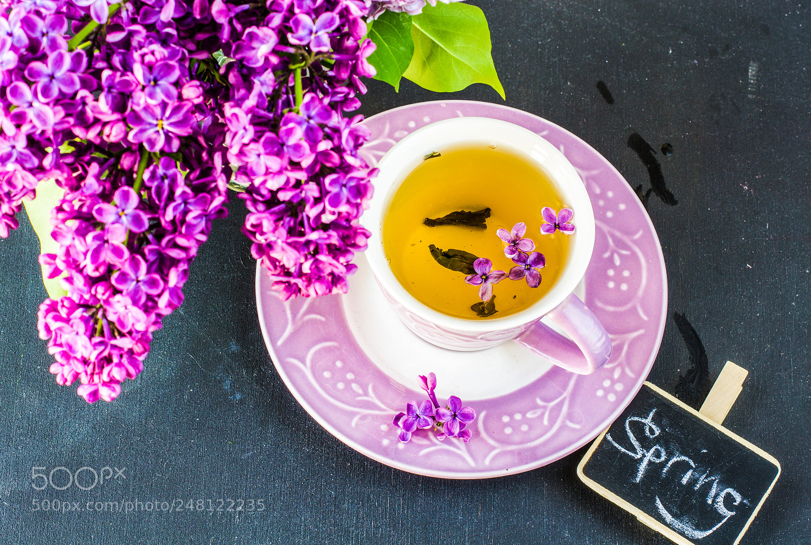 Sony SLT-A55 (SLT-A55V) sample photo. Spring concept with lilac photography