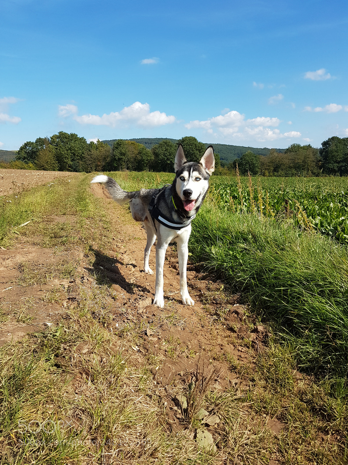 Samsung Galaxy S7 Edge sample photo. 20170921_131615.jpg photography