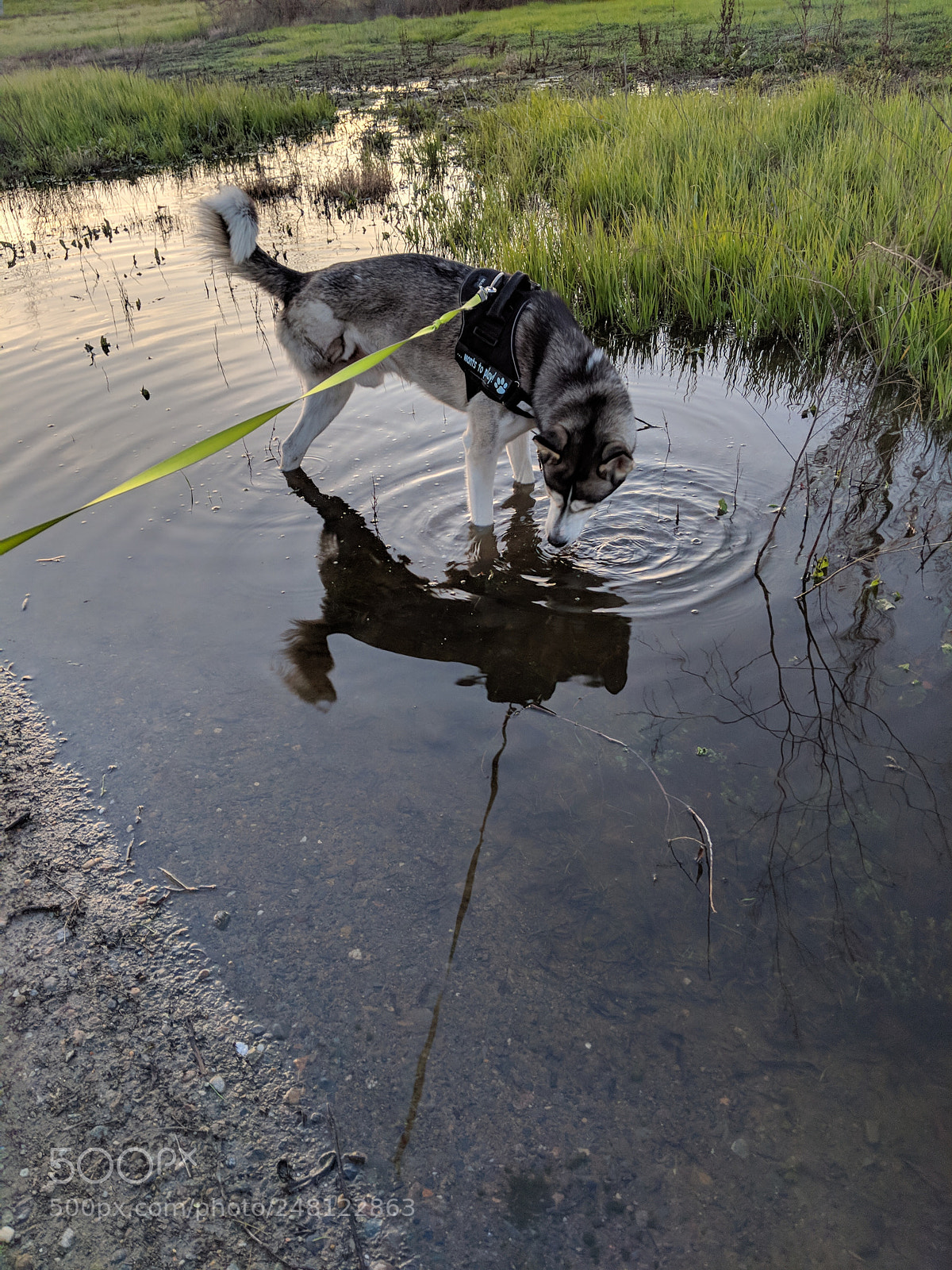 Google Pixel 2 sample photo. Img_20180227_175242.jpg photography