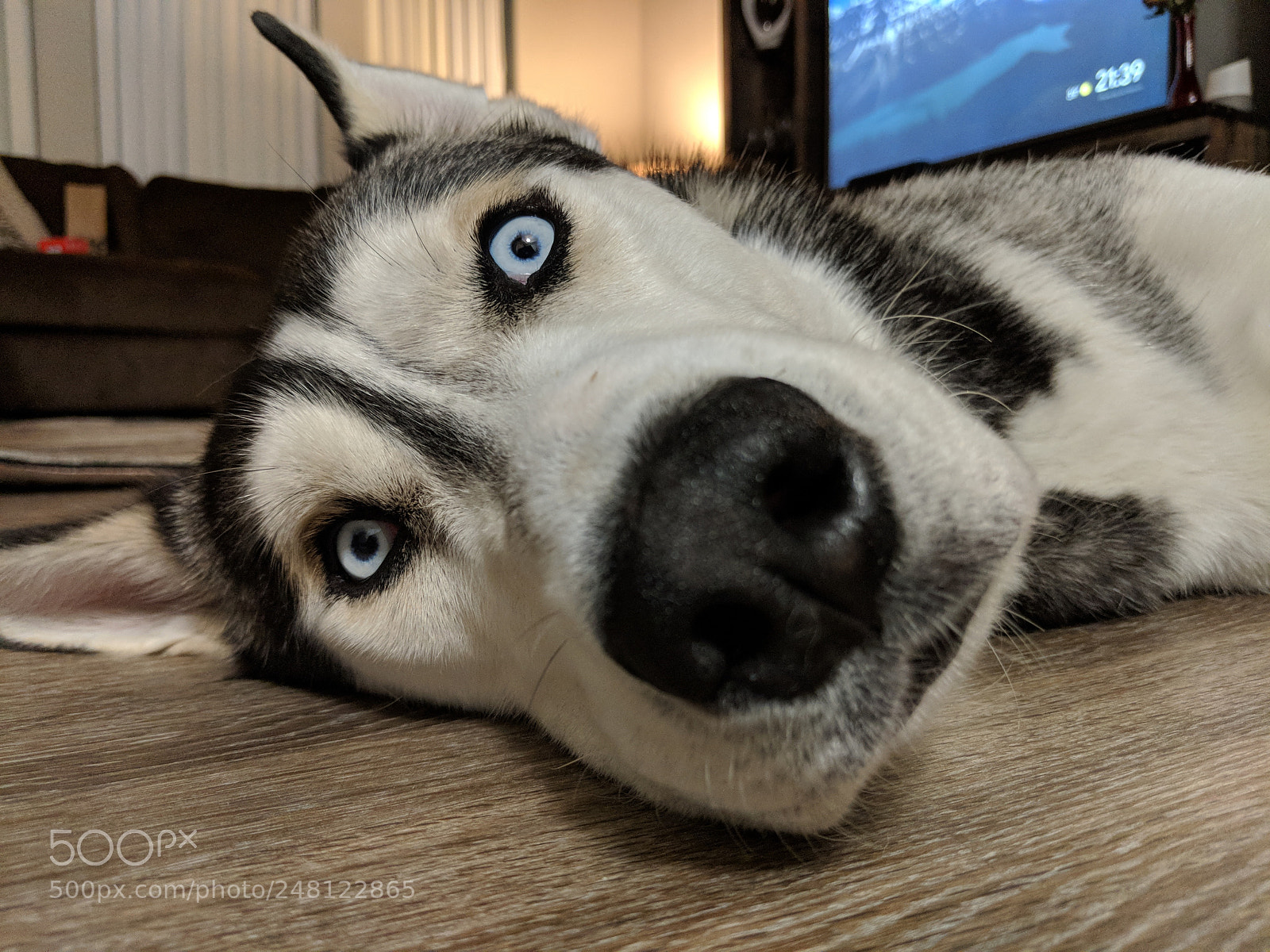 Google Pixel 2 sample photo. Mvimg_20180223_213928.jpg photography
